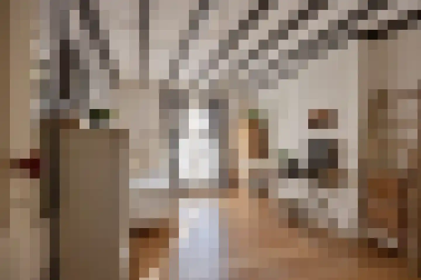 Achterstraat 9 Nieuw-Vossemeer thumbnail 33