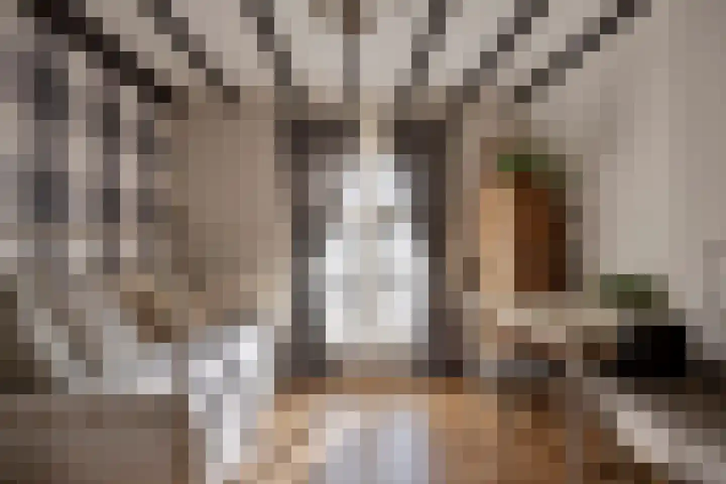 Achterstraat 9 Nieuw-Vossemeer thumbnail 34