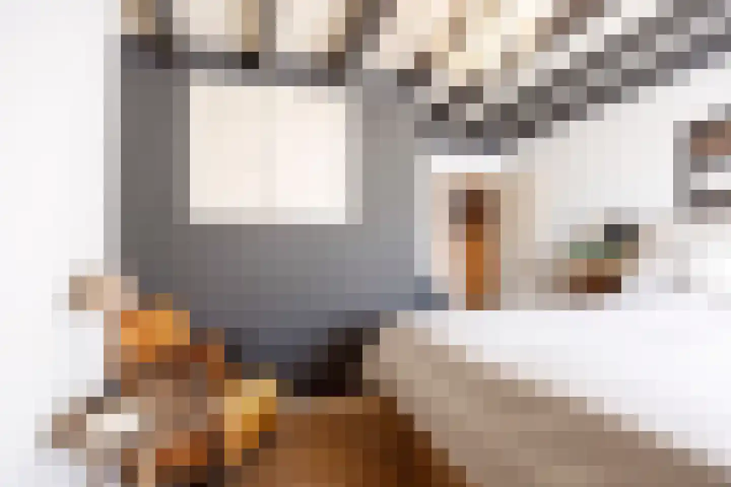 Achterstraat 9 Nieuw-Vossemeer thumbnail 36