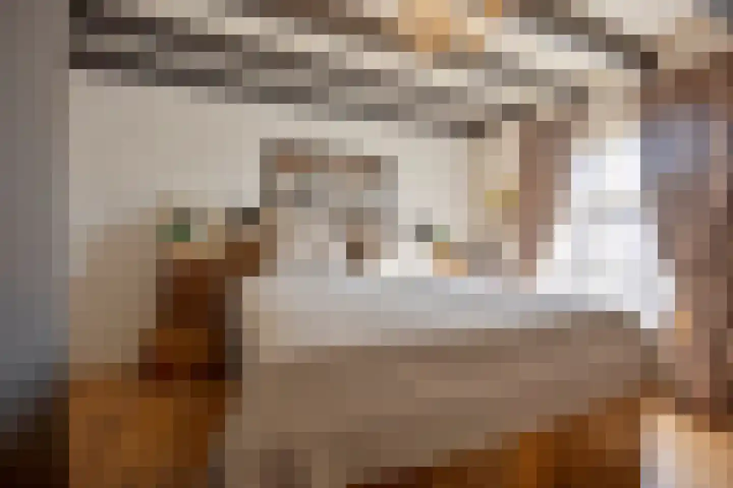 Achterstraat 9 Nieuw-Vossemeer thumbnail 37