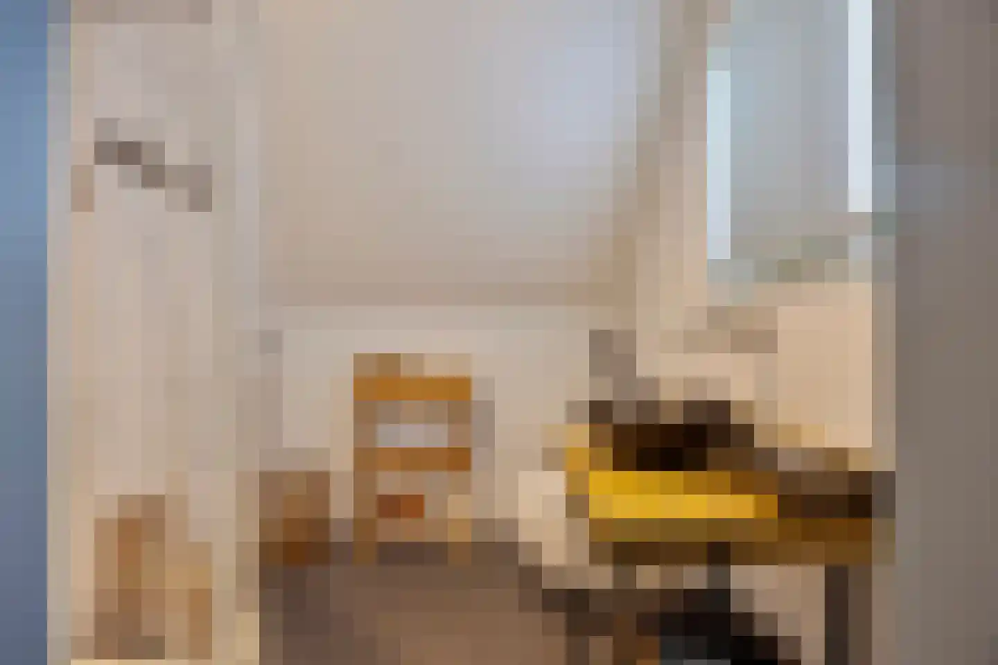 Achterstraat 9 Nieuw-Vossemeer thumbnail 39