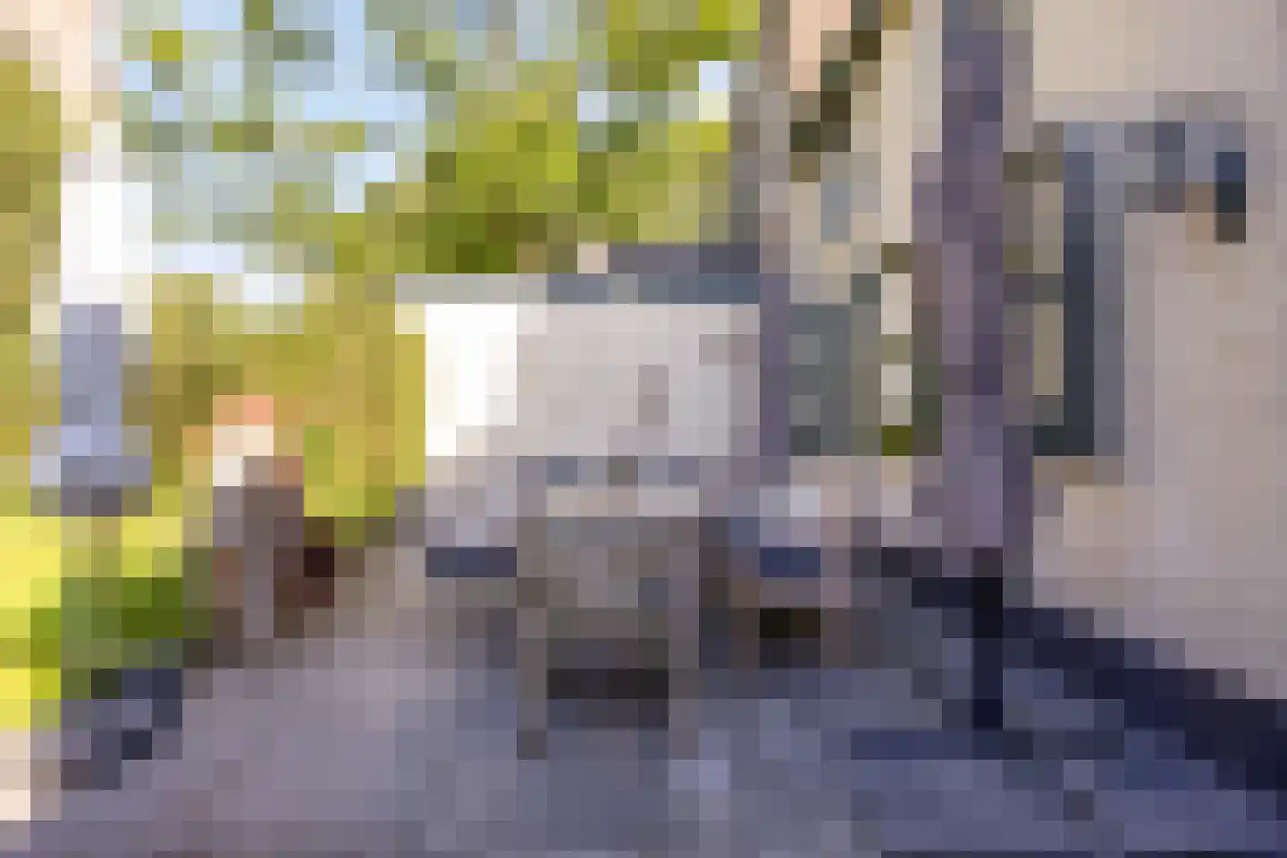 Achterstraat 9 Nieuw-Vossemeer thumbnail 47
