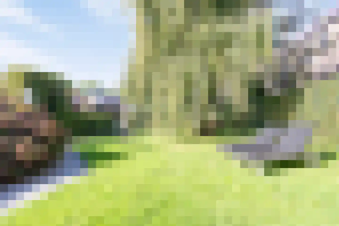 Achterstraat 9 Nieuw-Vossemeer thumbnail 48