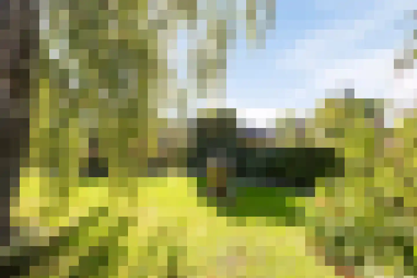 Achterstraat 9 Nieuw-Vossemeer thumbnail 50