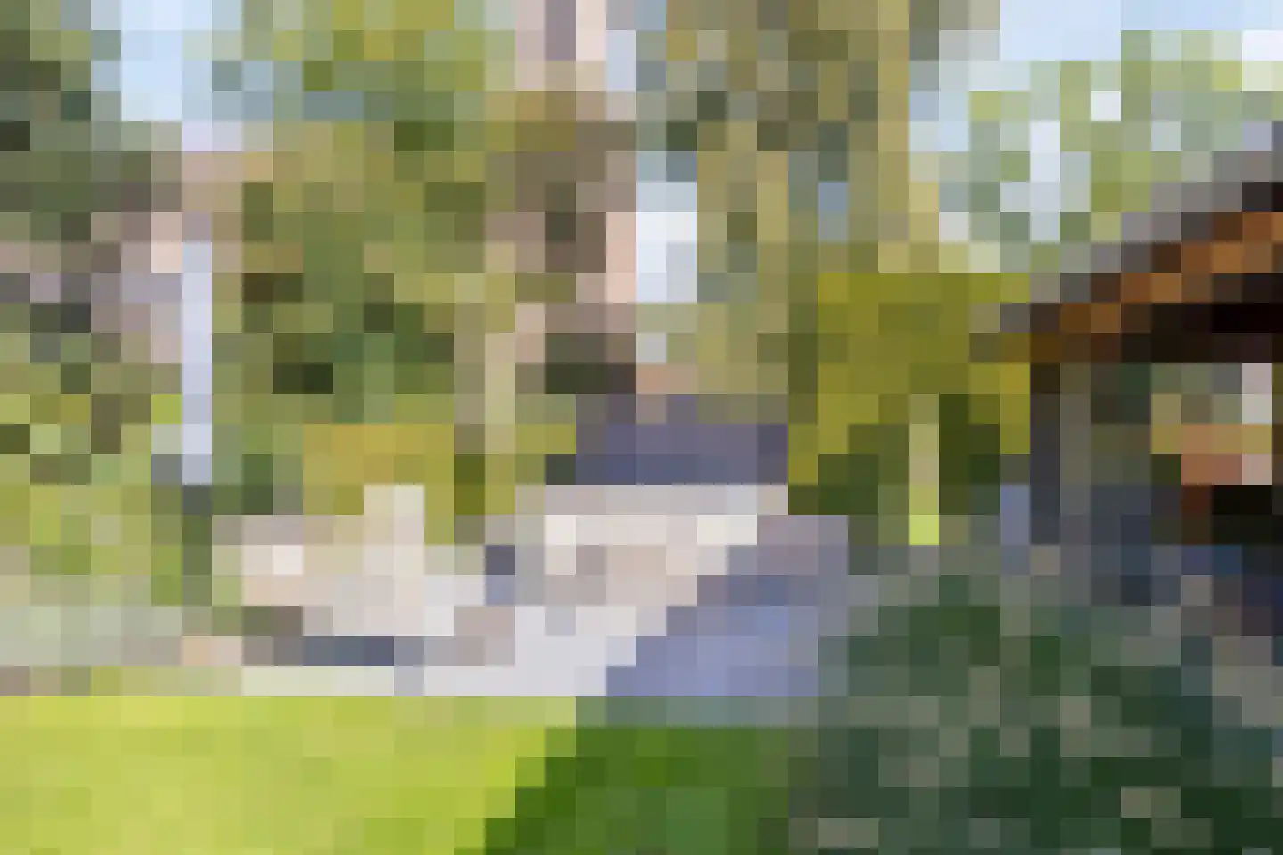 Achterstraat 9 Nieuw-Vossemeer thumbnail 52
