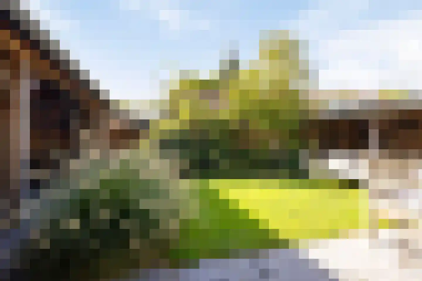 Achterstraat 9 Nieuw-Vossemeer thumbnail 54