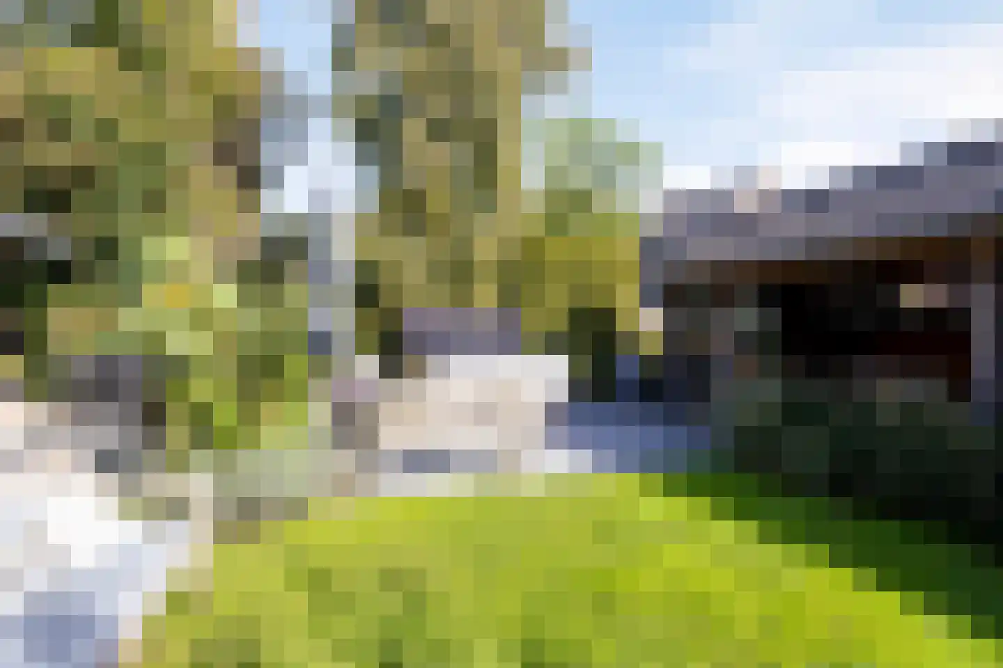 Achterstraat 9 Nieuw-Vossemeer thumbnail 55