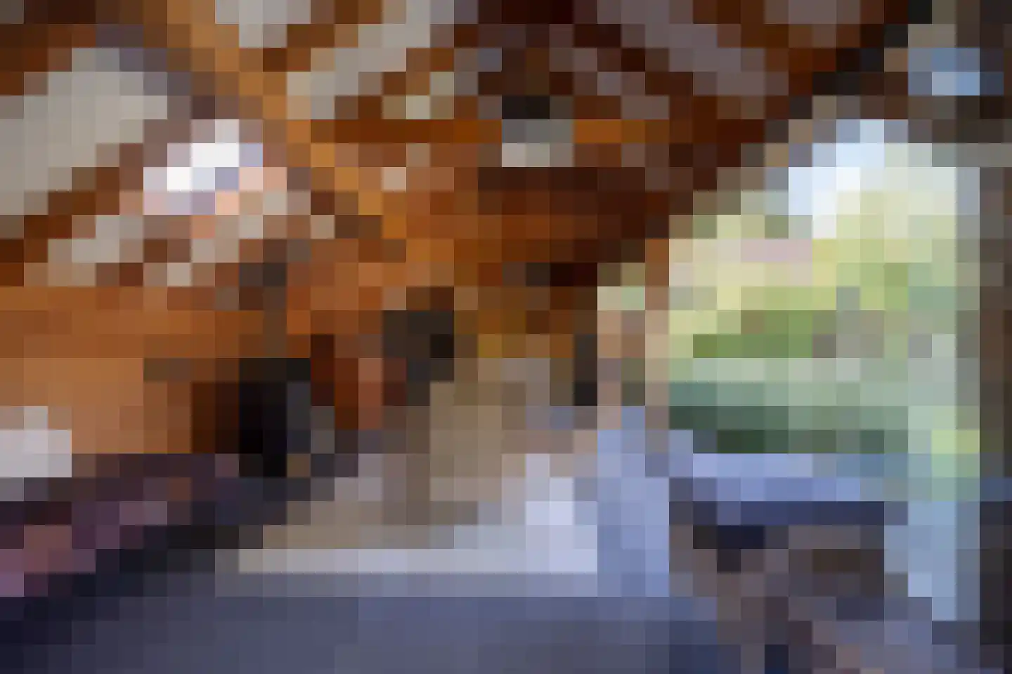 Achterstraat 9 Nieuw-Vossemeer thumbnail 6