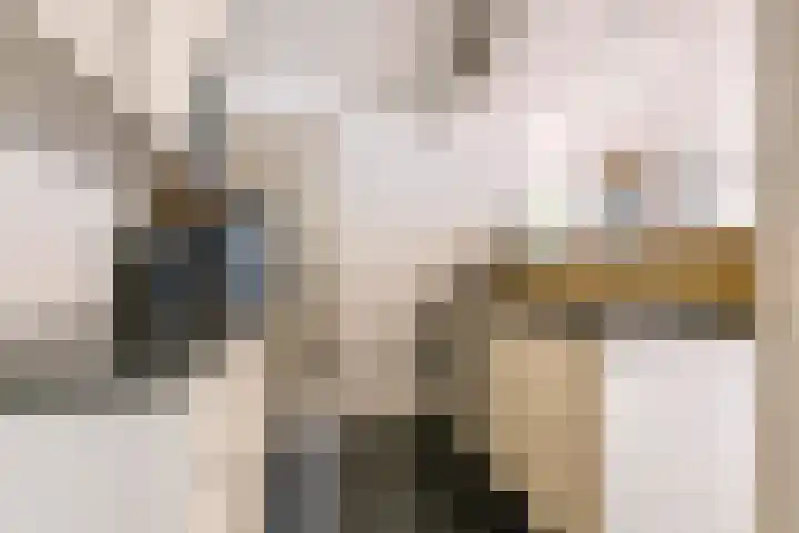 Achterstraat 96 Asperen thumbnail 9