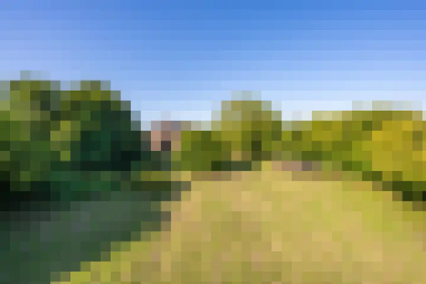 Achterstraat Lienden thumbnail 10