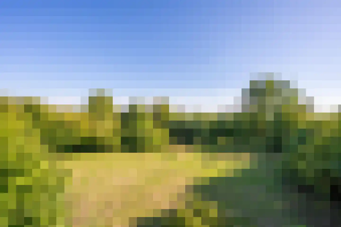Achterstraat Lienden thumbnail 15