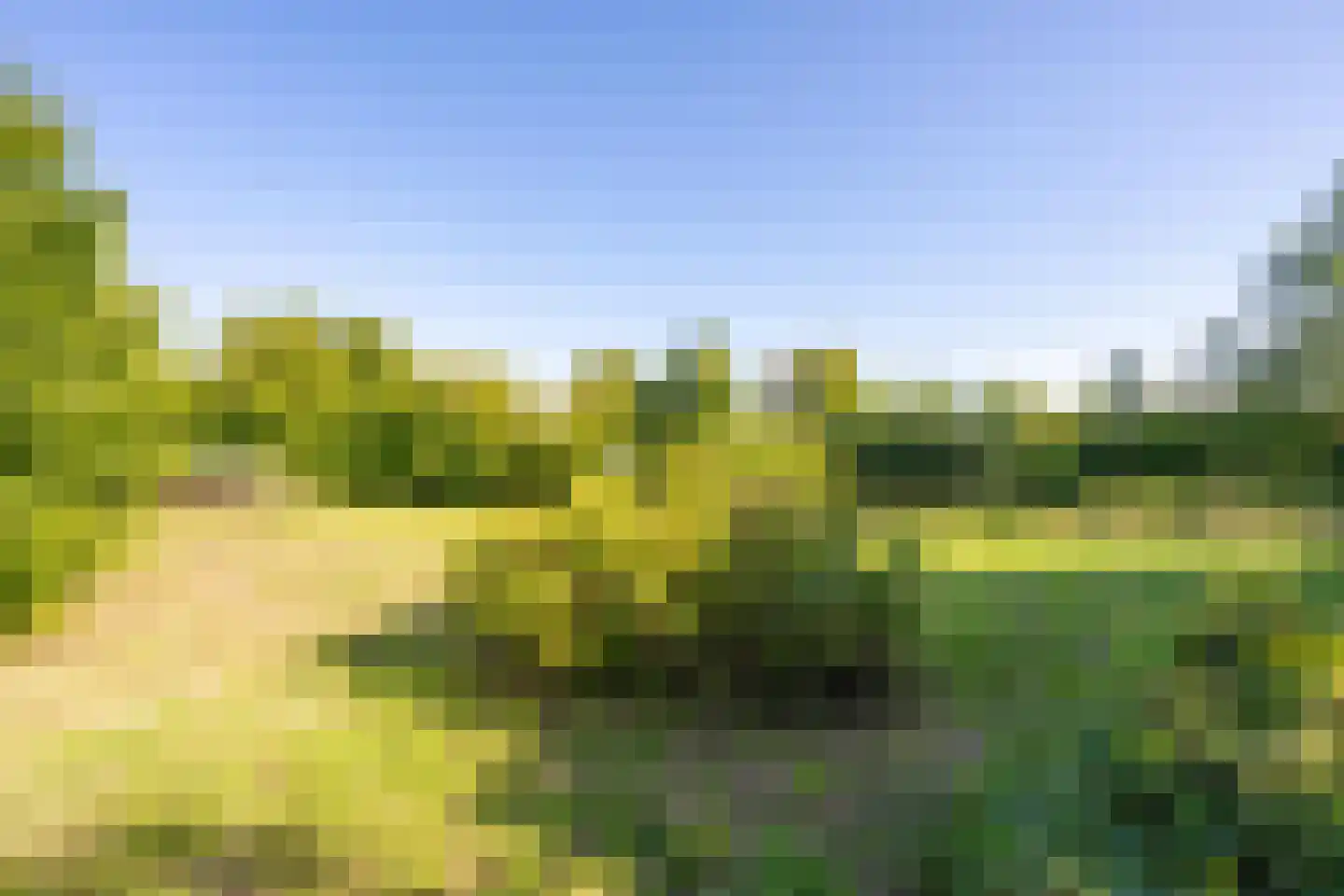 Achterstraat Lienden thumbnail 16