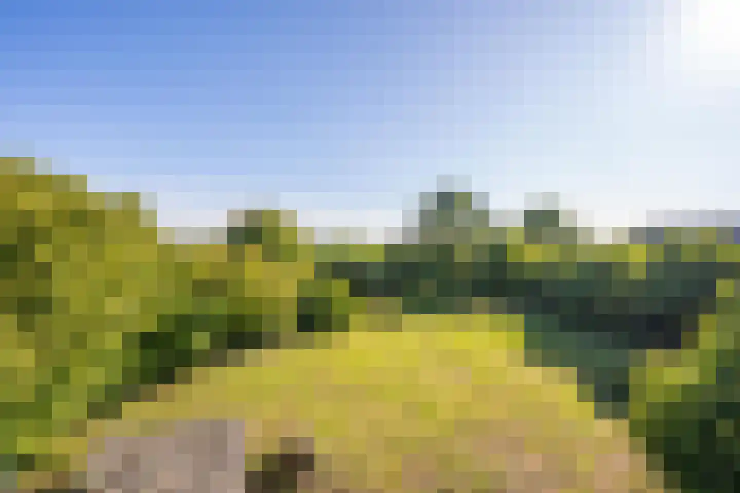 Achterstraat Lienden thumbnail 17