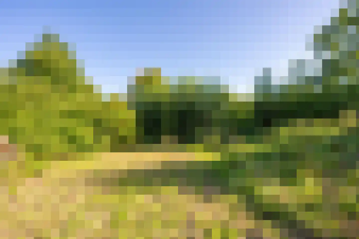 Achterstraat Lienden thumbnail 19