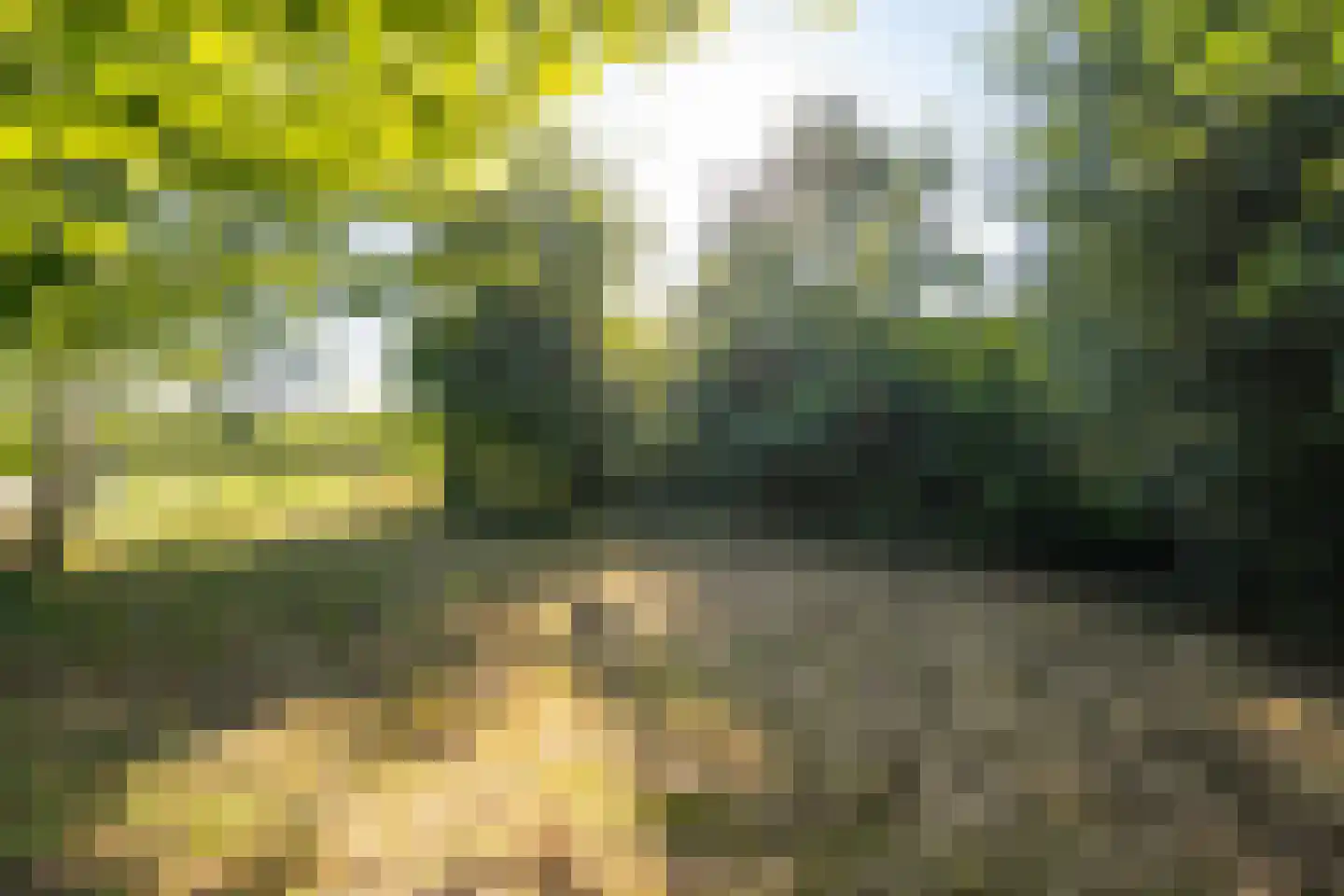Achterstraat Lienden thumbnail 20