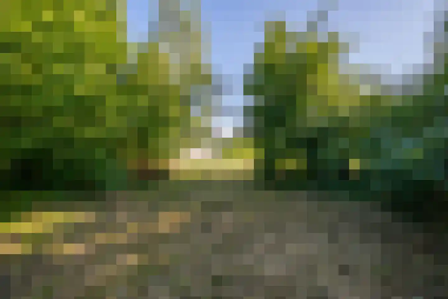 Achterstraat Lienden thumbnail 21
