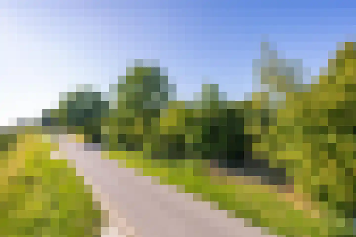 Achterstraat Lienden thumbnail 5