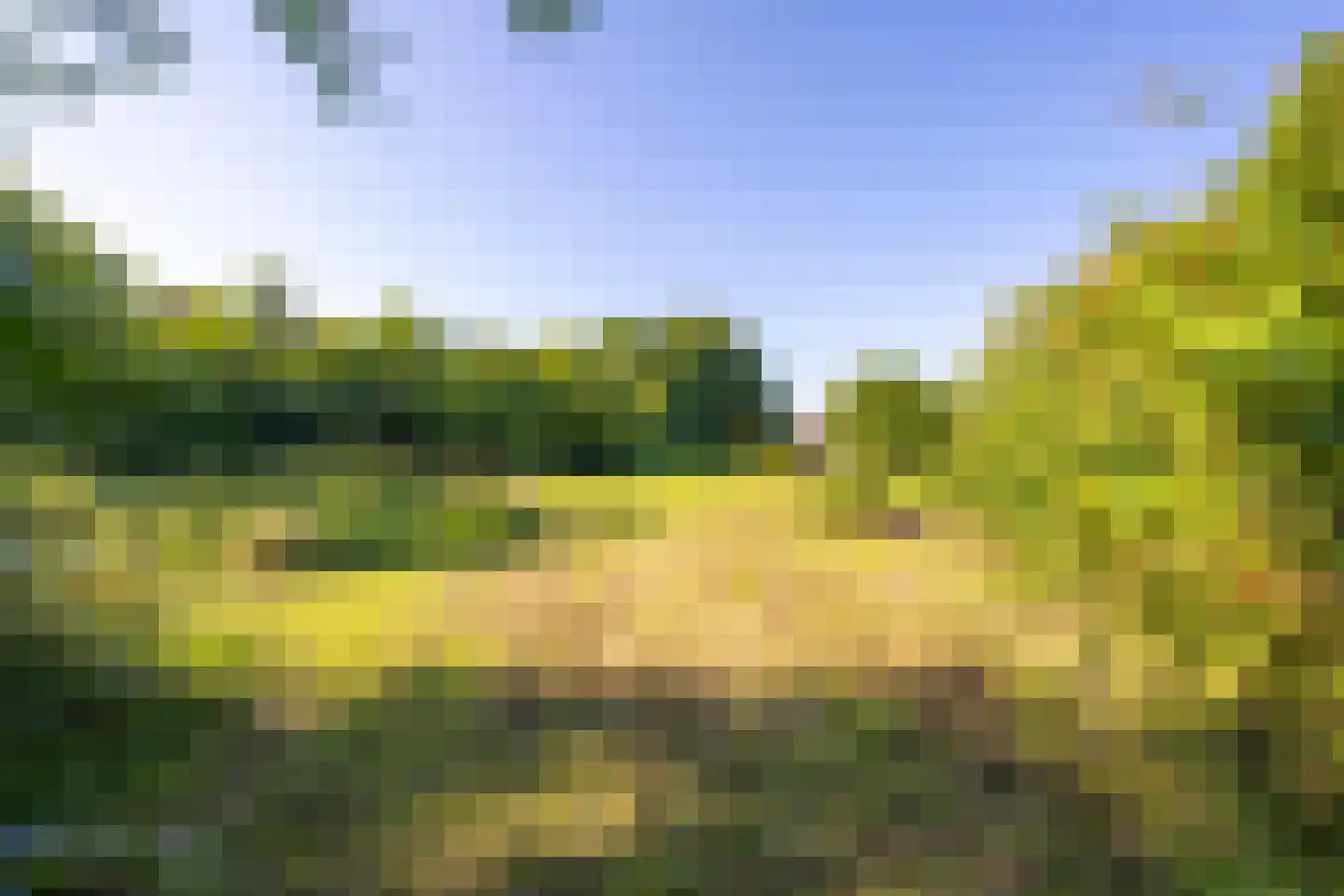 Achterstraat Lienden thumbnail 7