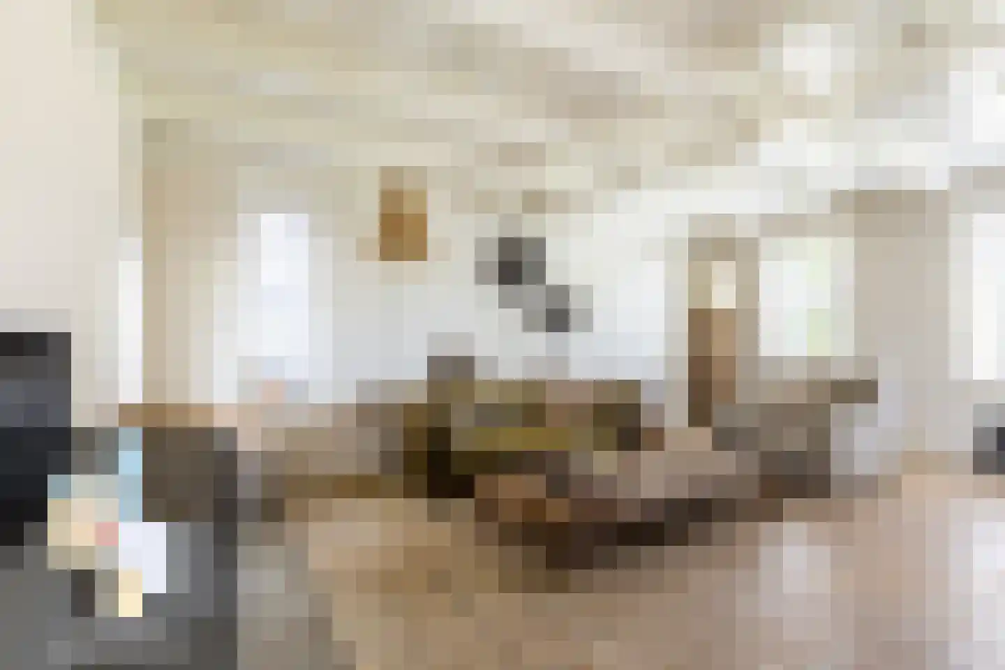 Achterstrypseweg 10 Rockanje thumbnail 10