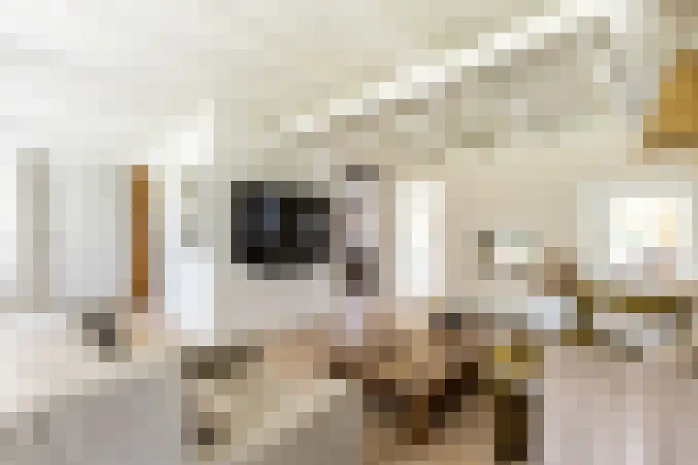 Achterstrypseweg 10 Rockanje thumbnail 11