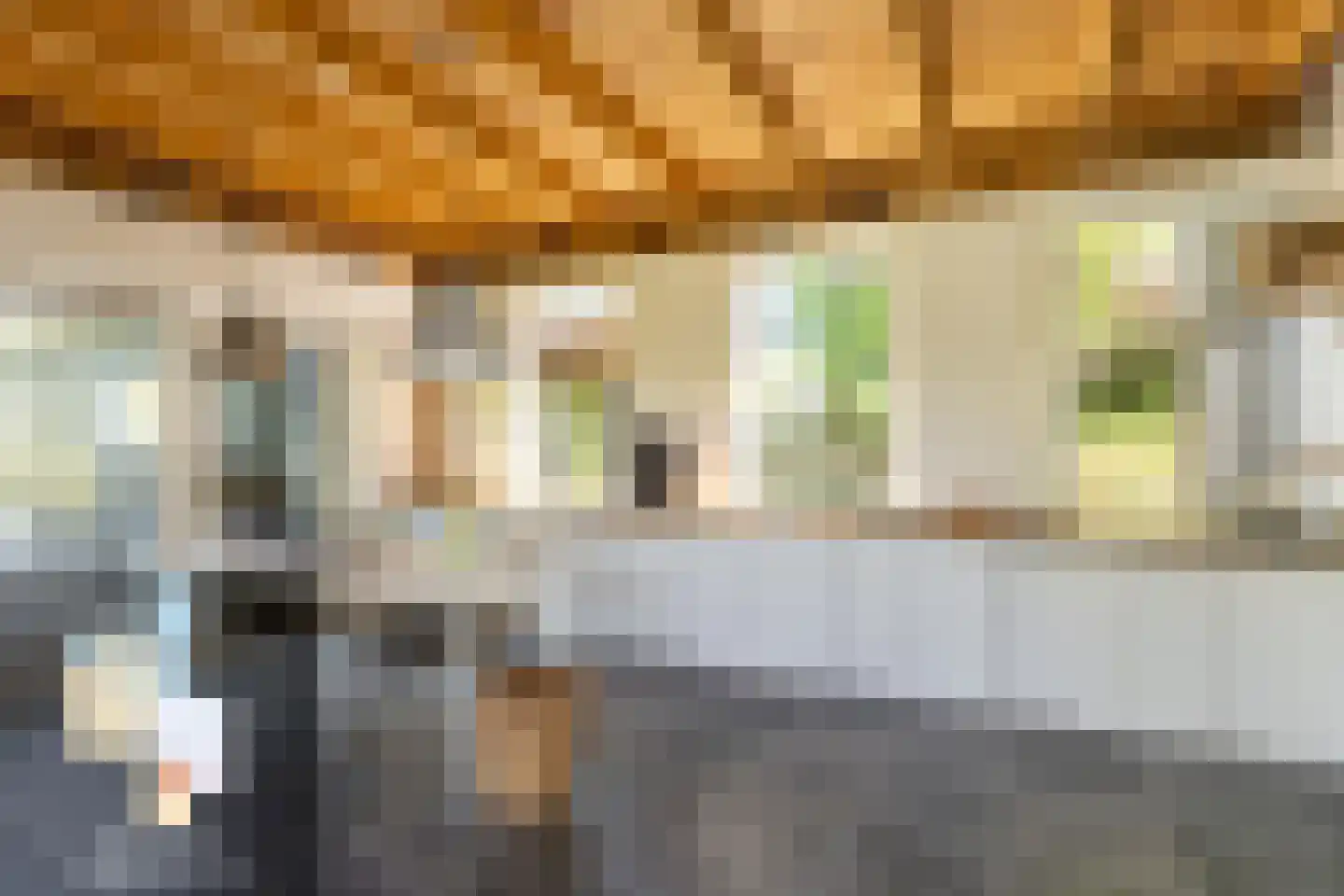 Achterstrypseweg 10 Rockanje thumbnail 17