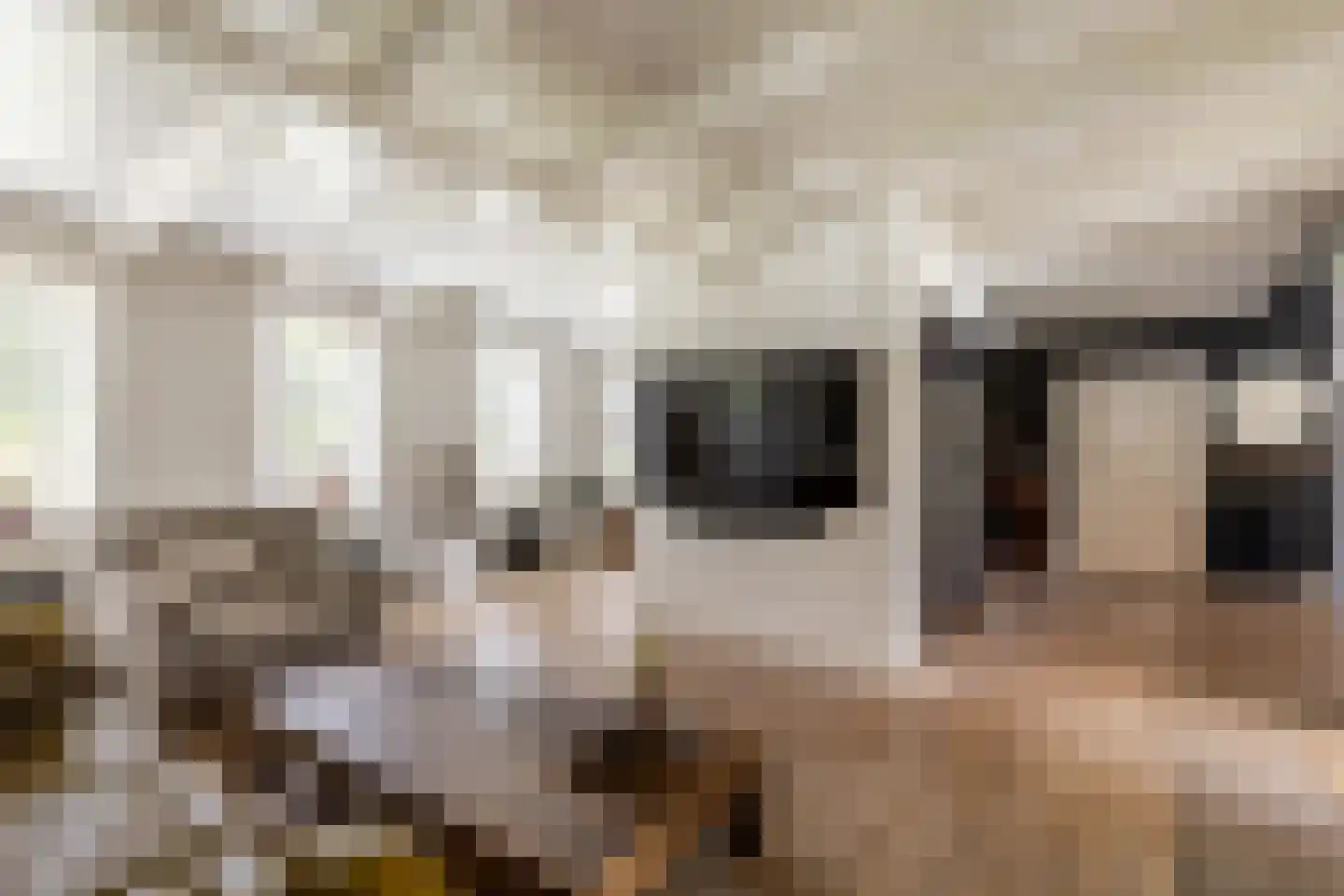 Achterstrypseweg 10 Rockanje thumbnail 19