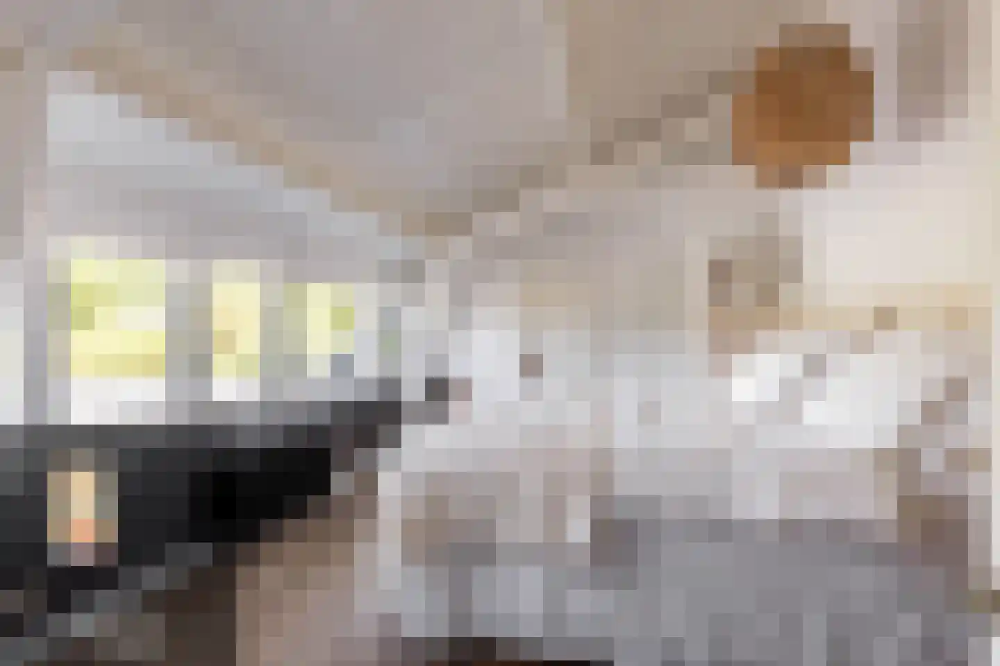 Achterstrypseweg 10 Rockanje thumbnail 31
