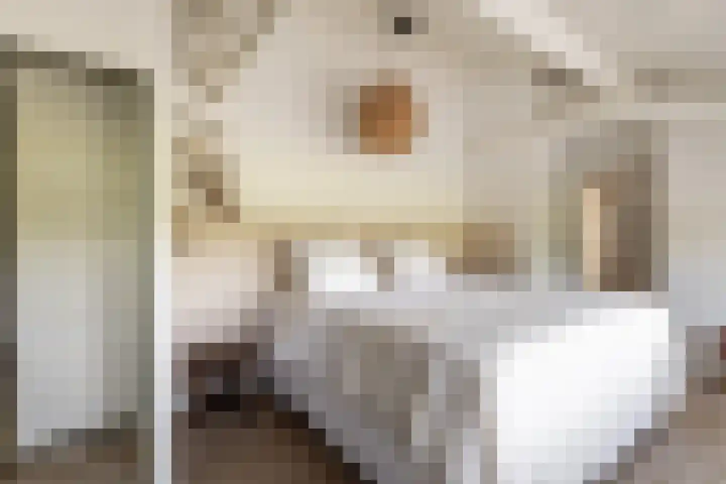 Achterstrypseweg 10 Rockanje thumbnail 32