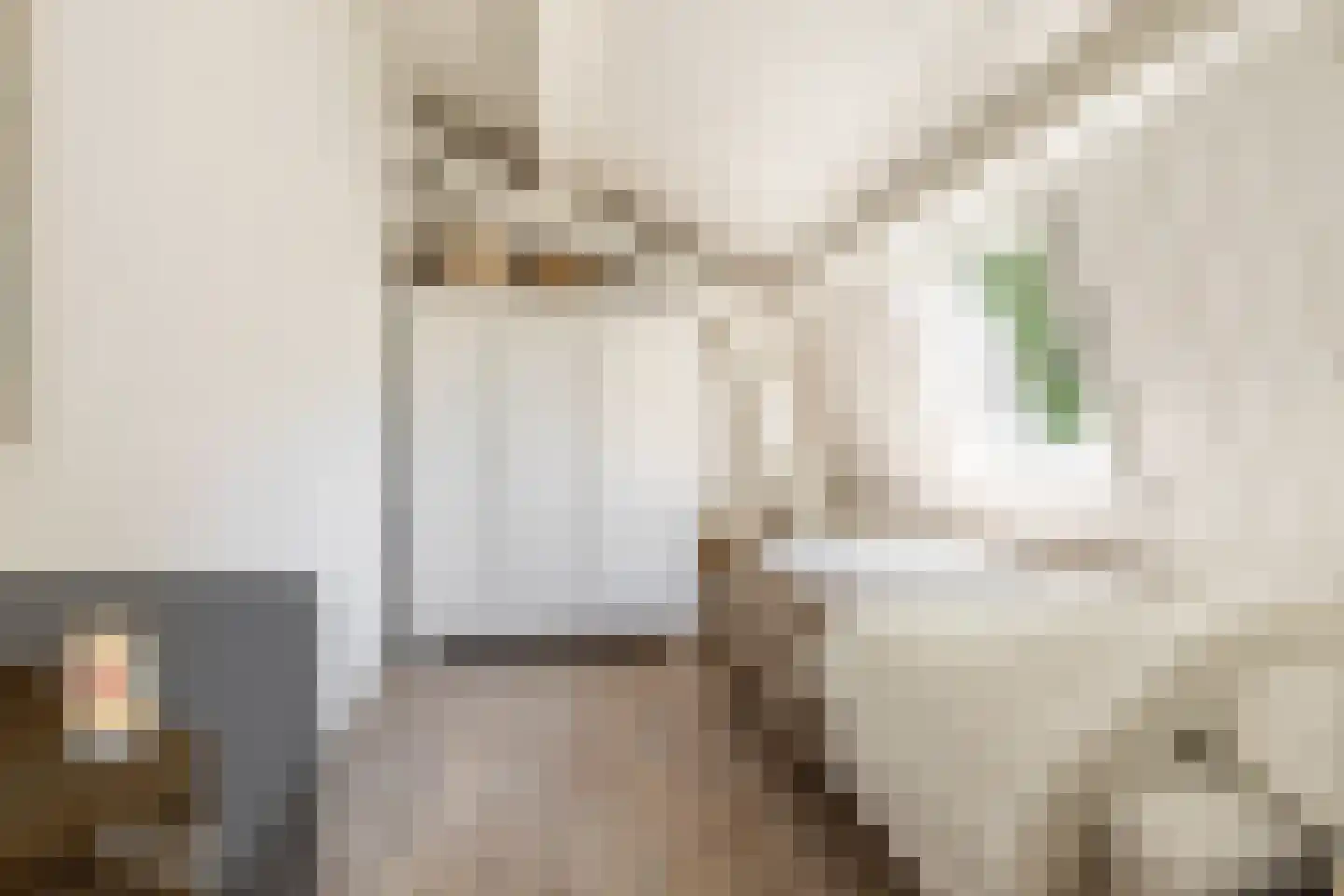 Achterstrypseweg 10 Rockanje thumbnail 34
