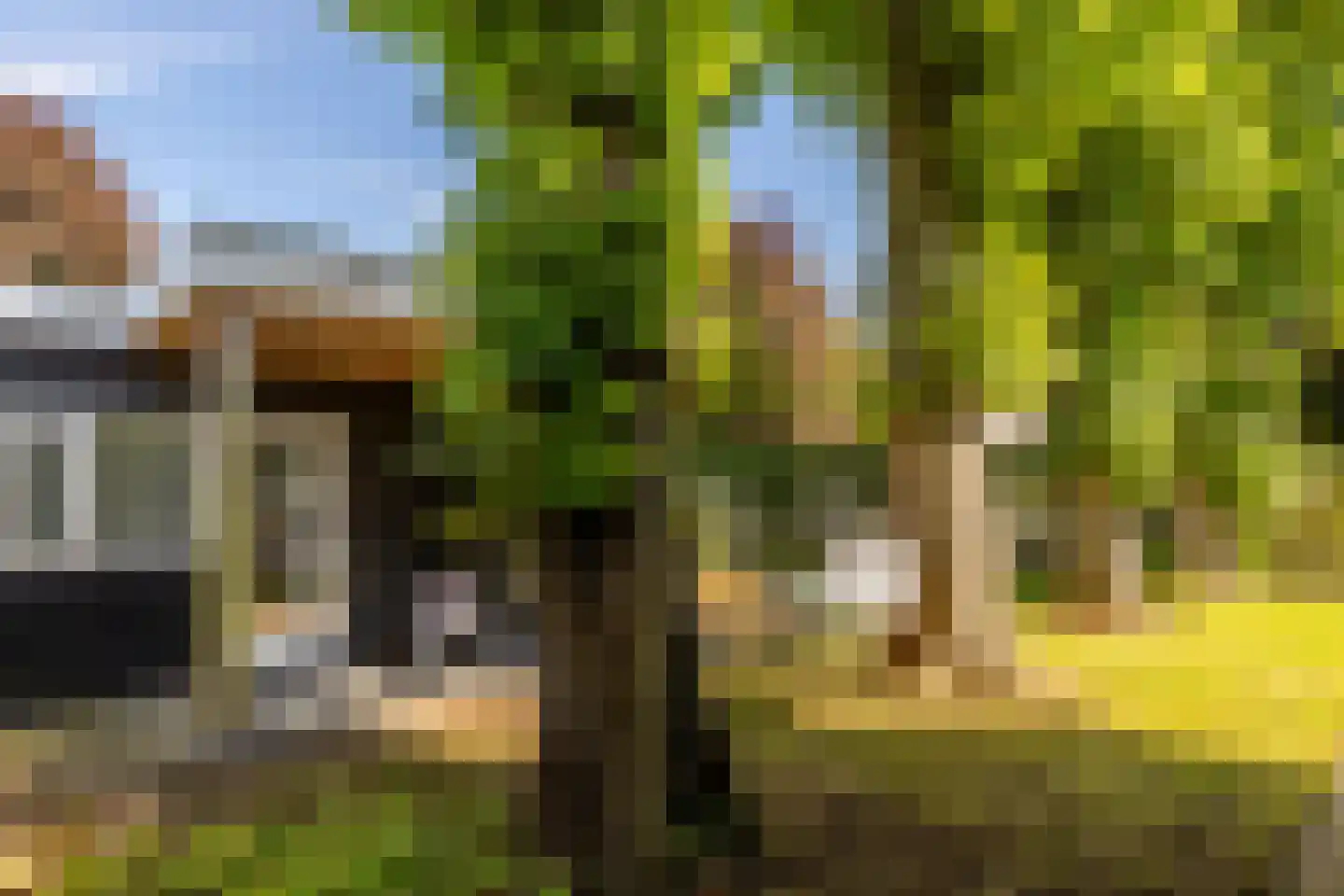 Achterstrypseweg 10 Rockanje thumbnail 39
