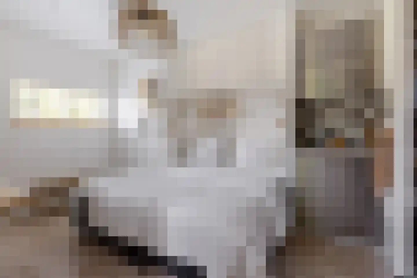 Achterstrypseweg 10 Rockanje thumbnail 41
