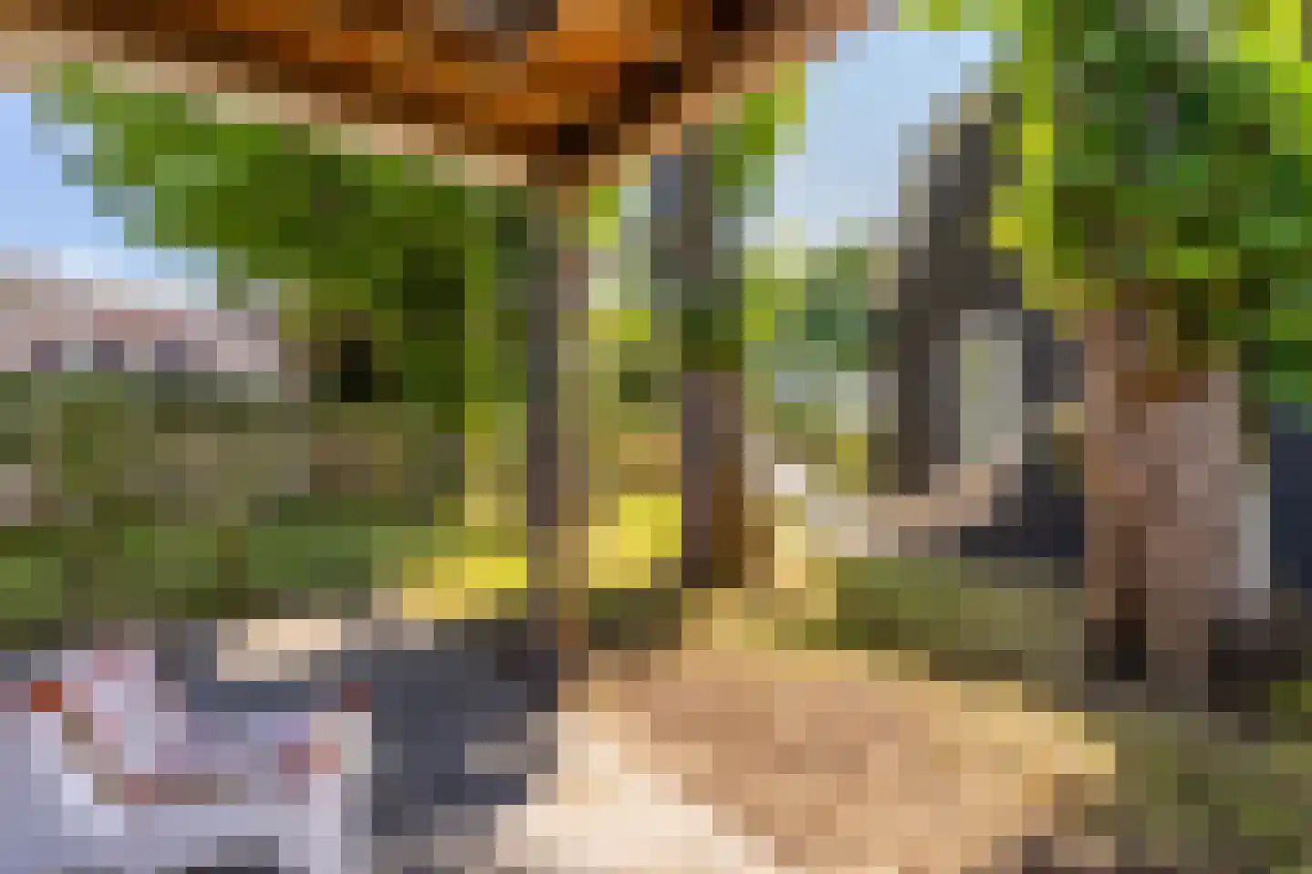Achterstrypseweg 10 Rockanje thumbnail 45