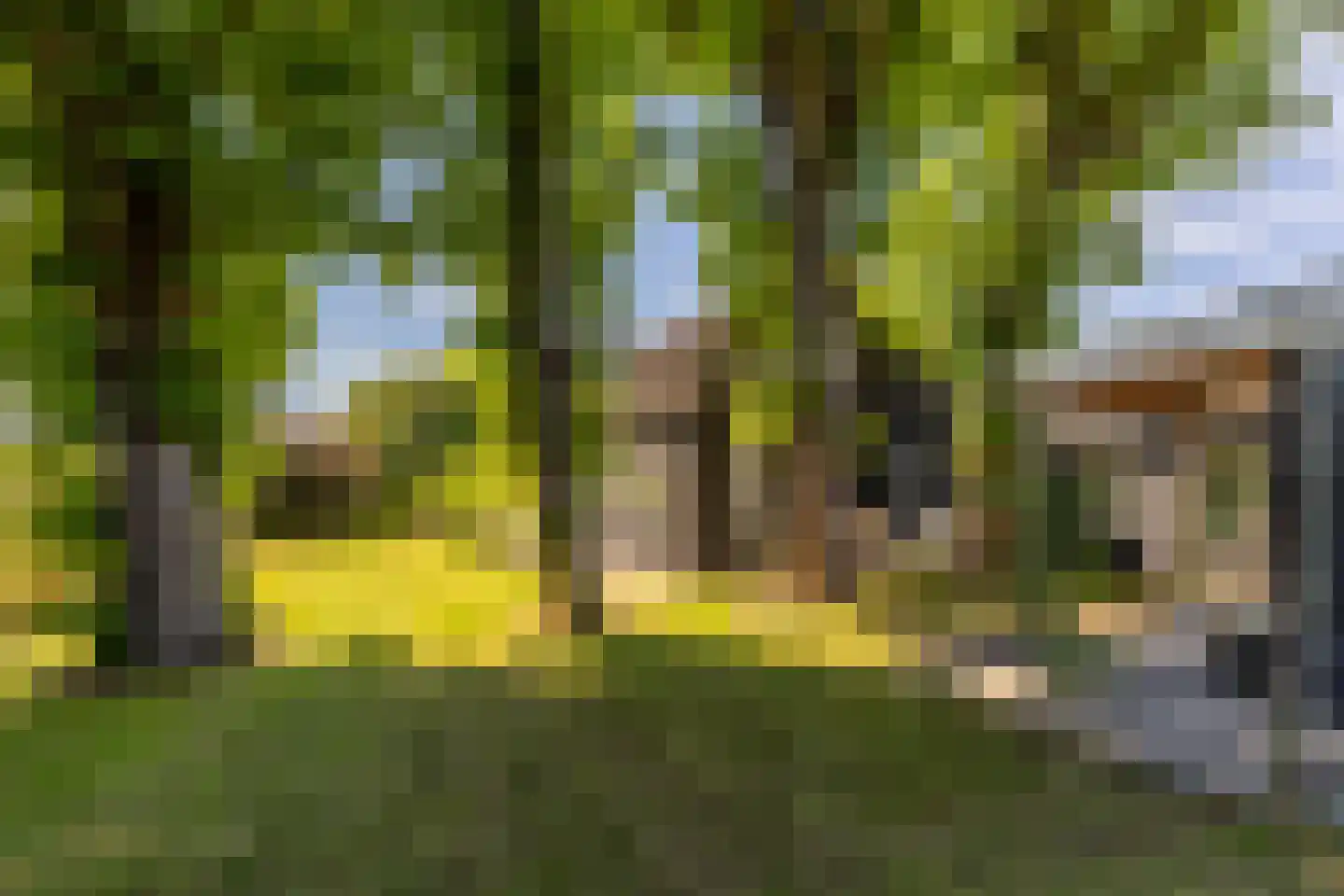Achterstrypseweg 10 Rockanje thumbnail 46