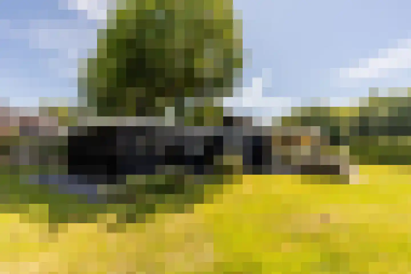 Achterstrypseweg 10 Rockanje thumbnail 47