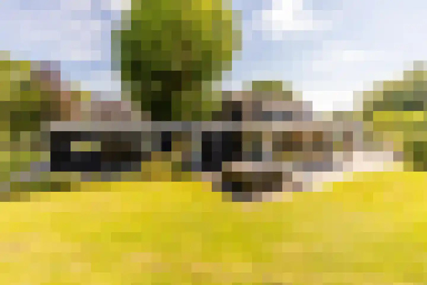 Achterstrypseweg 10 Rockanje thumbnail 48