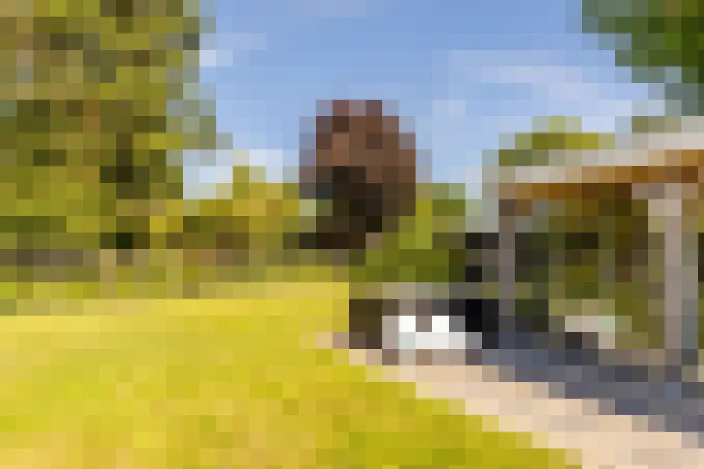 Achterstrypseweg 10 Rockanje thumbnail 50