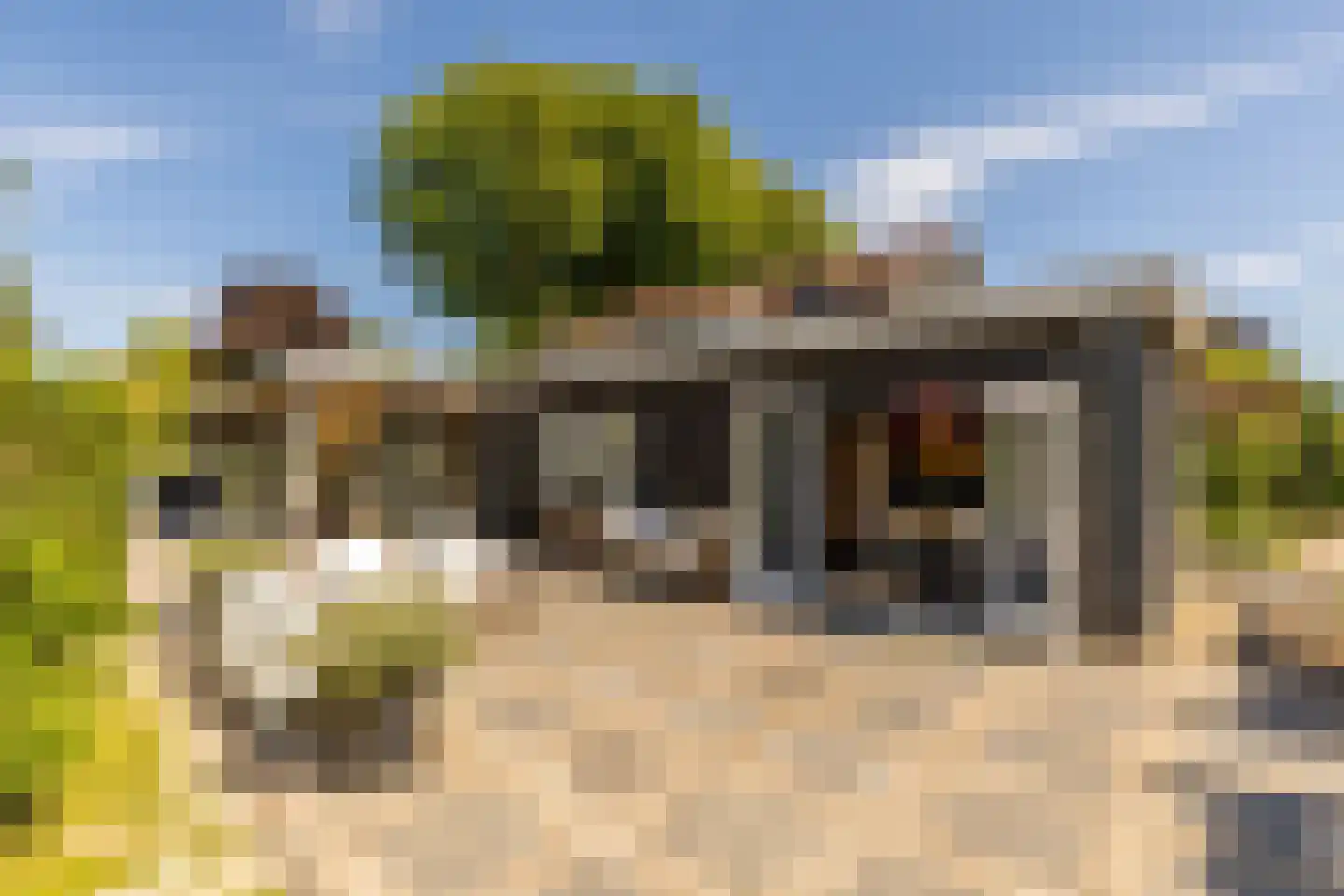Achterstrypseweg 10 Rockanje thumbnail 51