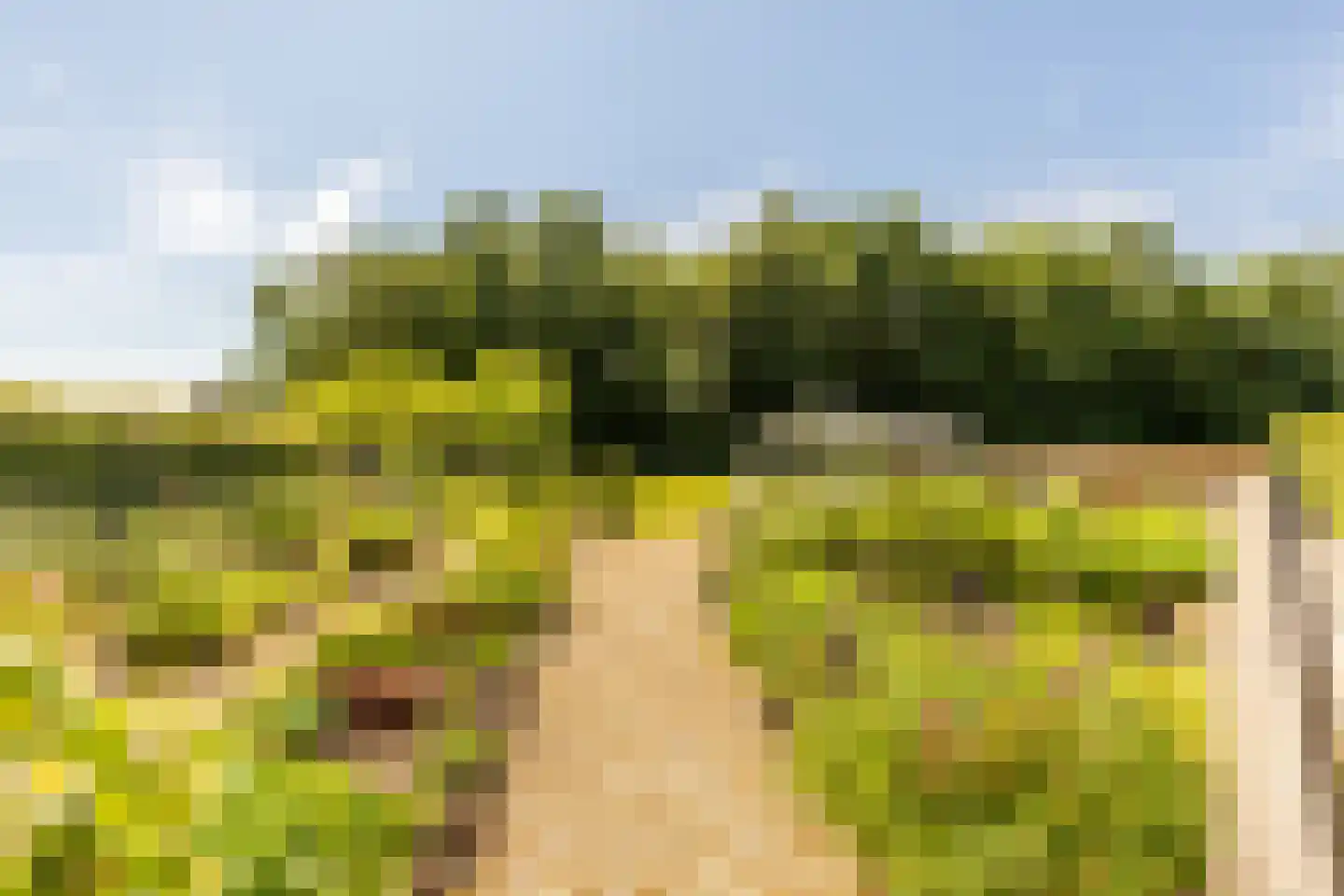Achterstrypseweg 10 Rockanje thumbnail 53