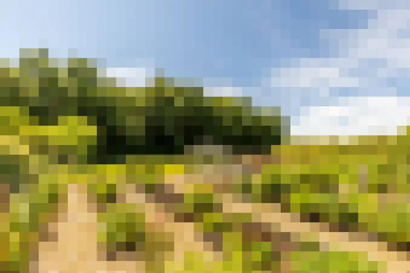 Achterstrypseweg 10 Rockanje thumbnail 54