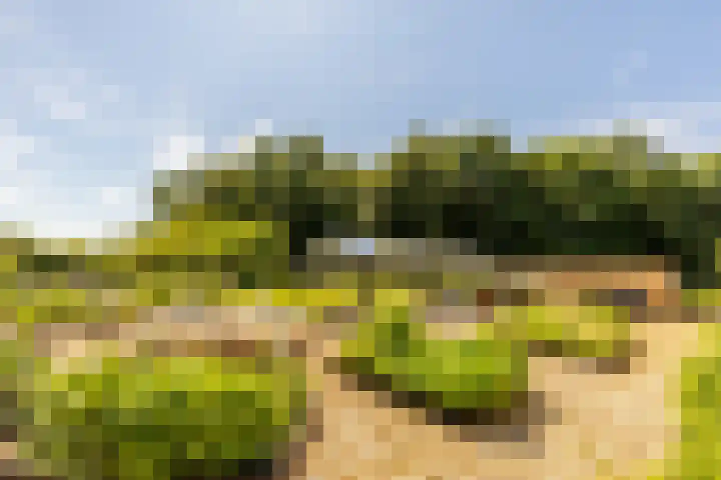 Achterstrypseweg 10 Rockanje thumbnail 55