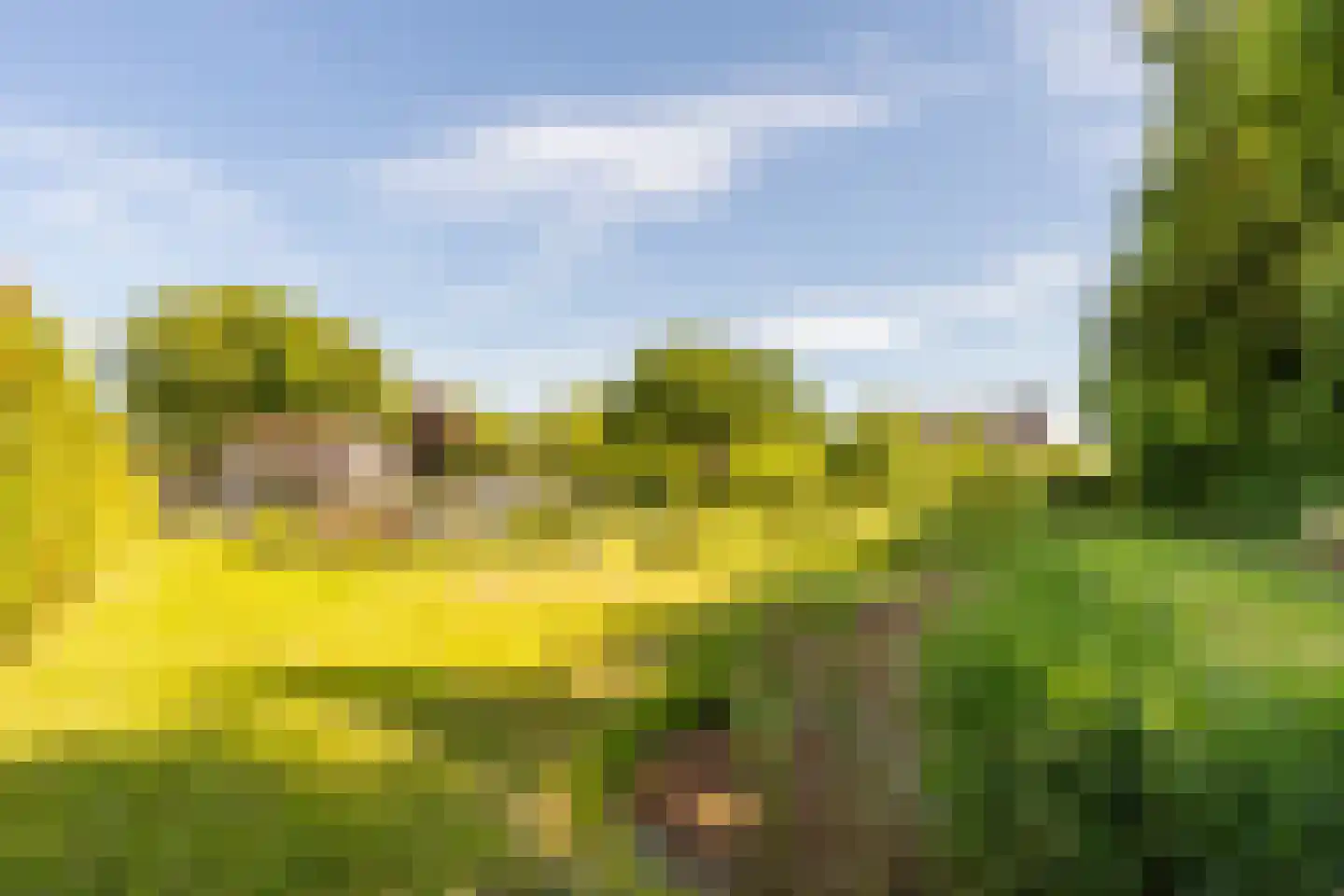 Achterstrypseweg 10 Rockanje thumbnail 56