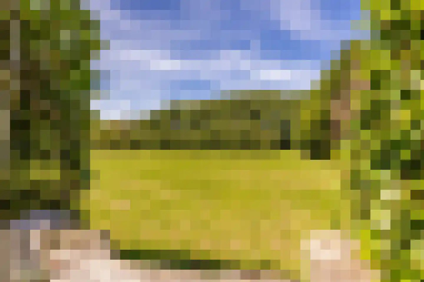 Achterstrypseweg 10 Rockanje thumbnail 57
