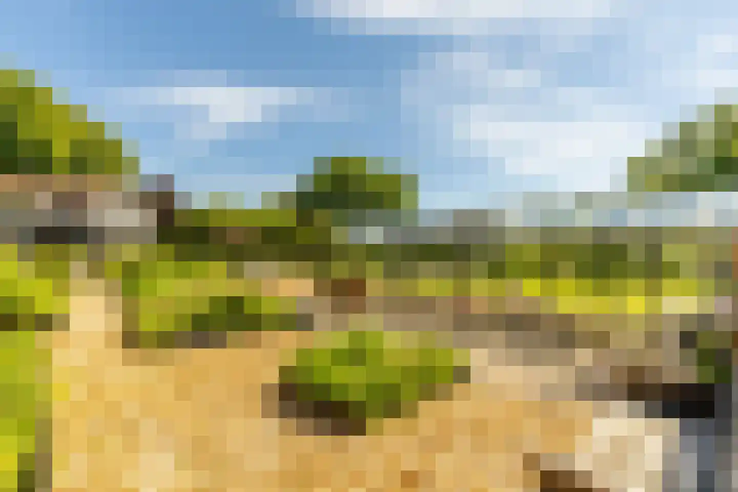 Achterstrypseweg 10 Rockanje thumbnail 58