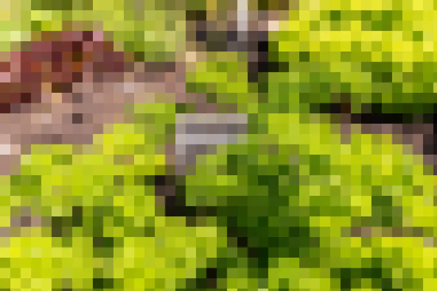 Achterstrypseweg 10 Rockanje thumbnail 59