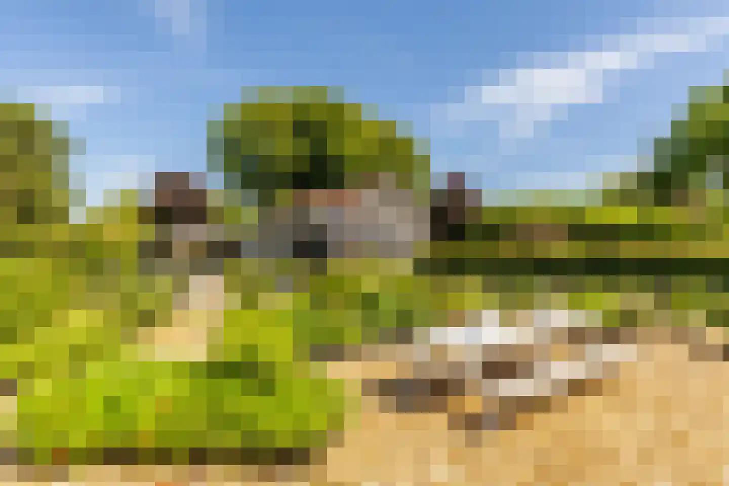 Achterstrypseweg 10 Rockanje thumbnail 60