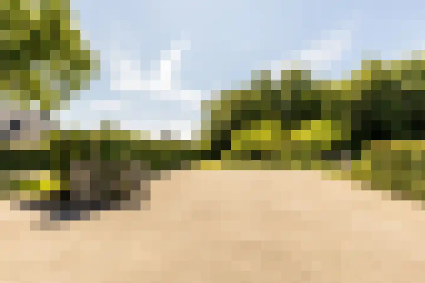 Achterstrypseweg 10 Rockanje thumbnail 62