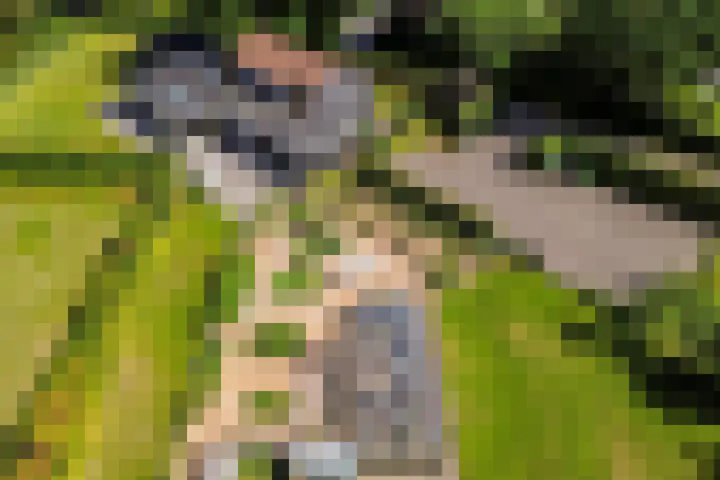 Achterstrypseweg 10 Rockanje thumbnail 63