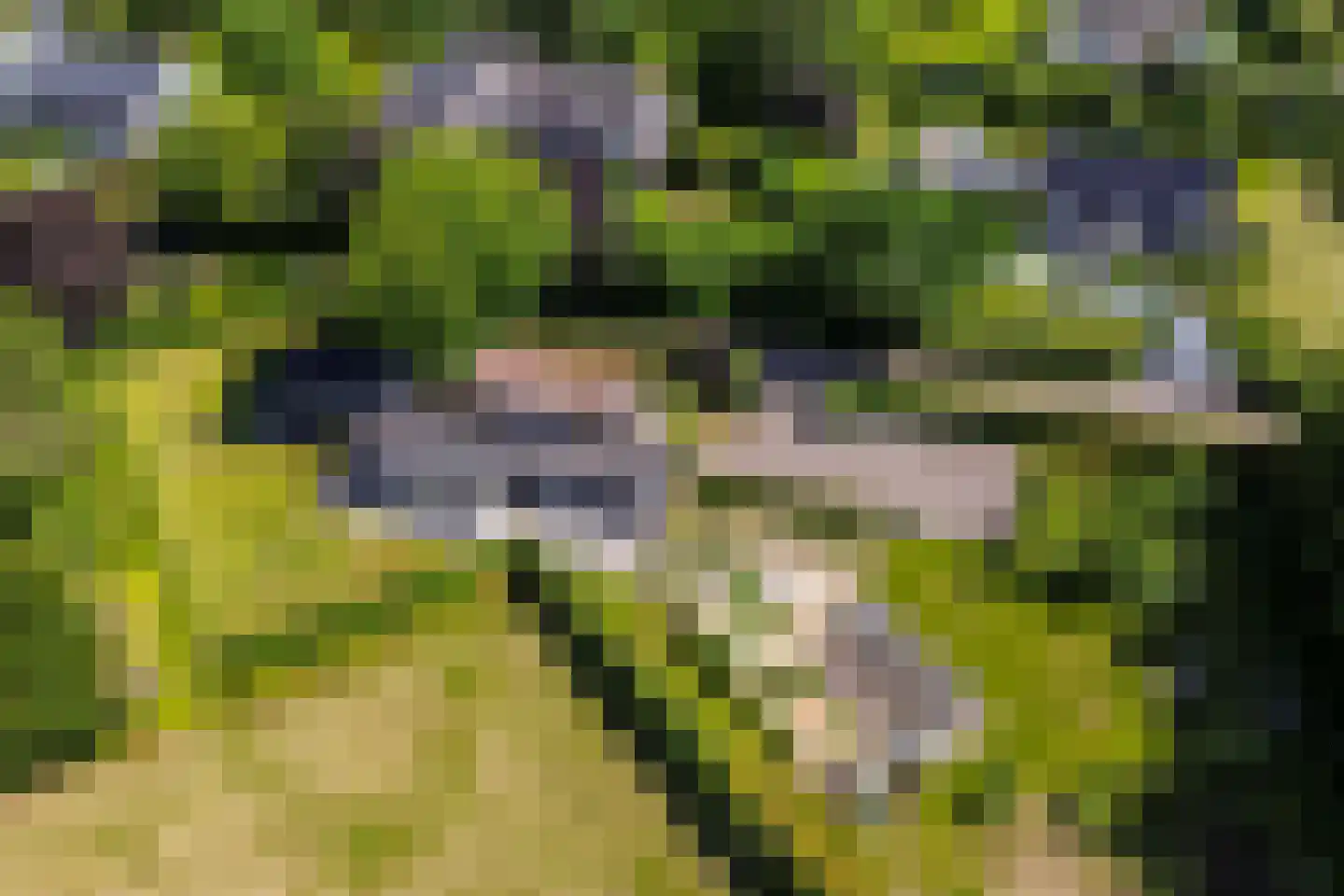 Achterstrypseweg 10 Rockanje thumbnail 64