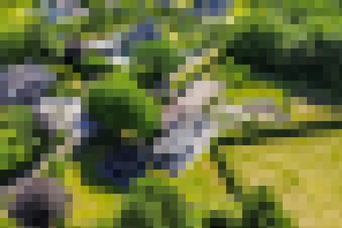 Achterstrypseweg 10 Rockanje thumbnail 65