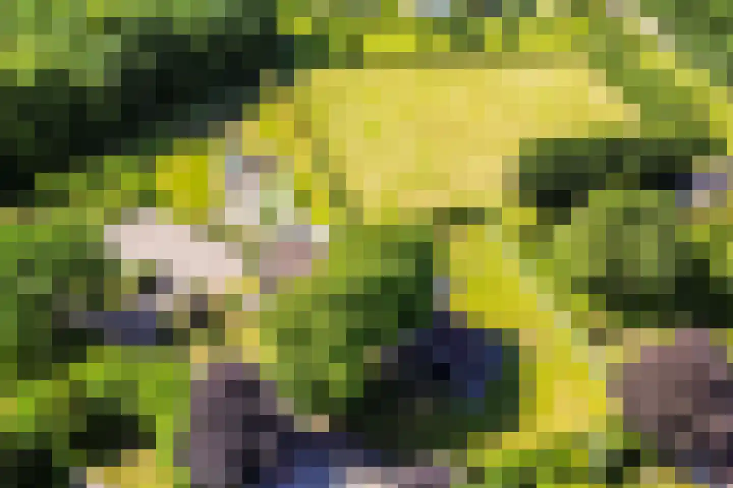 Achterstrypseweg 10 Rockanje thumbnail 67